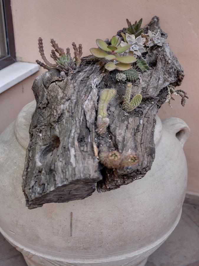 Hotel Palagi Pietrasanta Eksteriør bilde